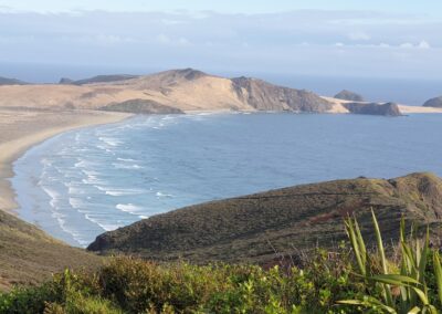 Breathtaking overlook of Cape Reinga, a popular destination for Private Transfers in New Zealand.